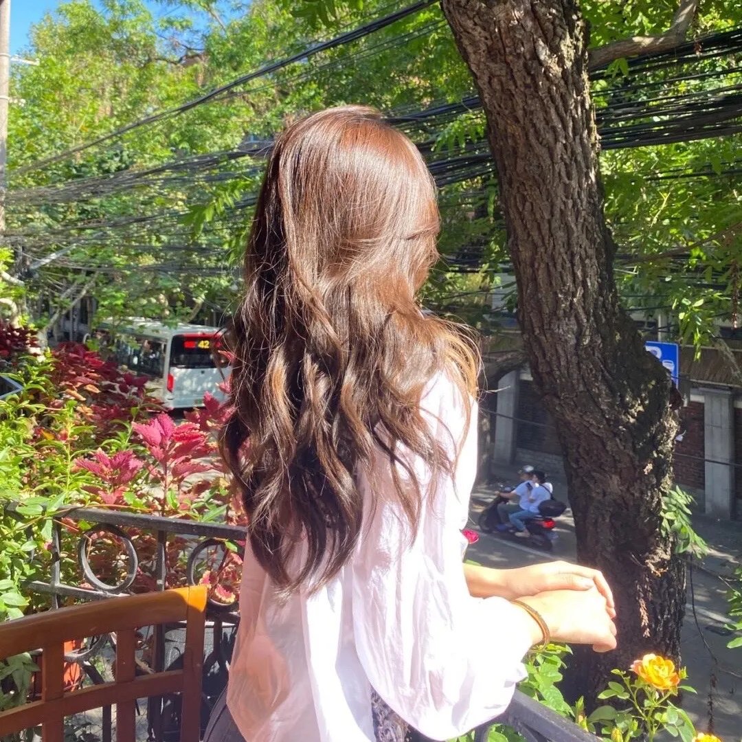 米佐的复仇